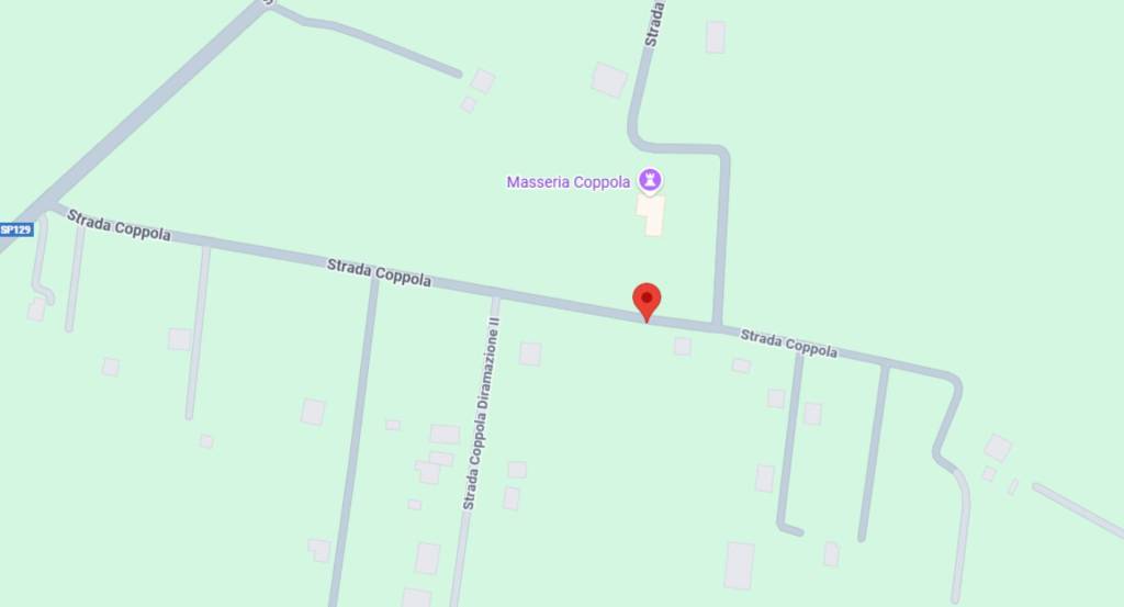 immagine annuncio 5 di 11