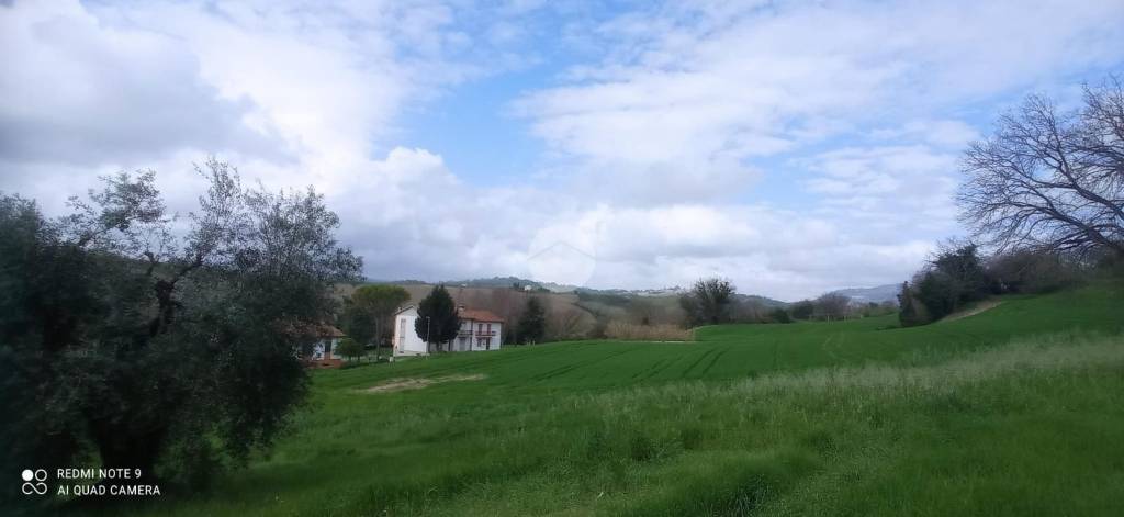 immagine annuncio 2 di 8