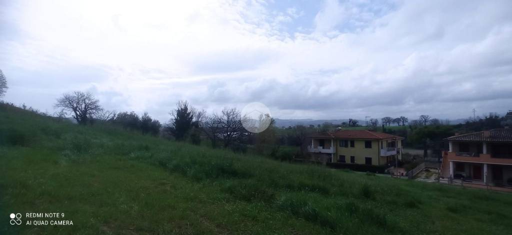 immagine annuncio 3 di 8