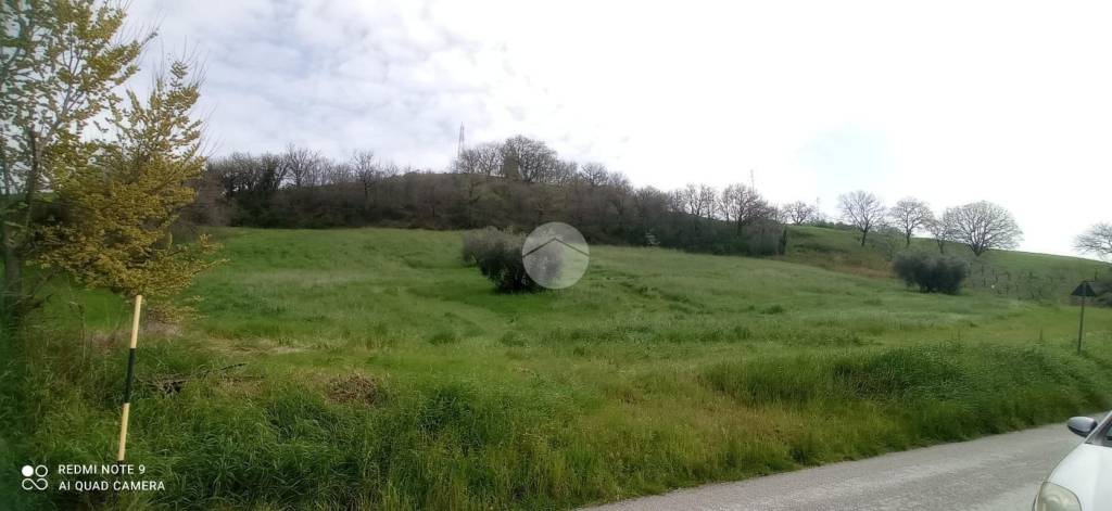 immagine annuncio 4 di 8