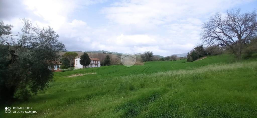 immagine annuncio 5 di 8