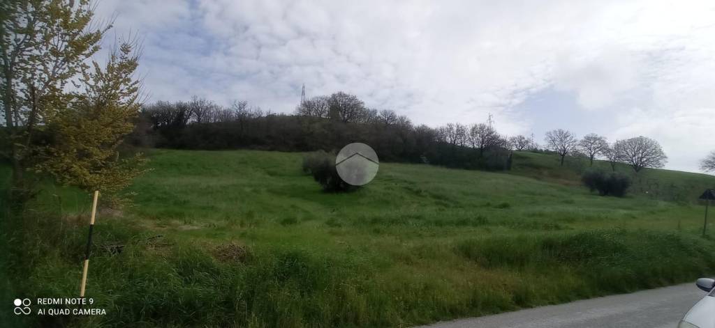 immagine annuncio 6 di 8