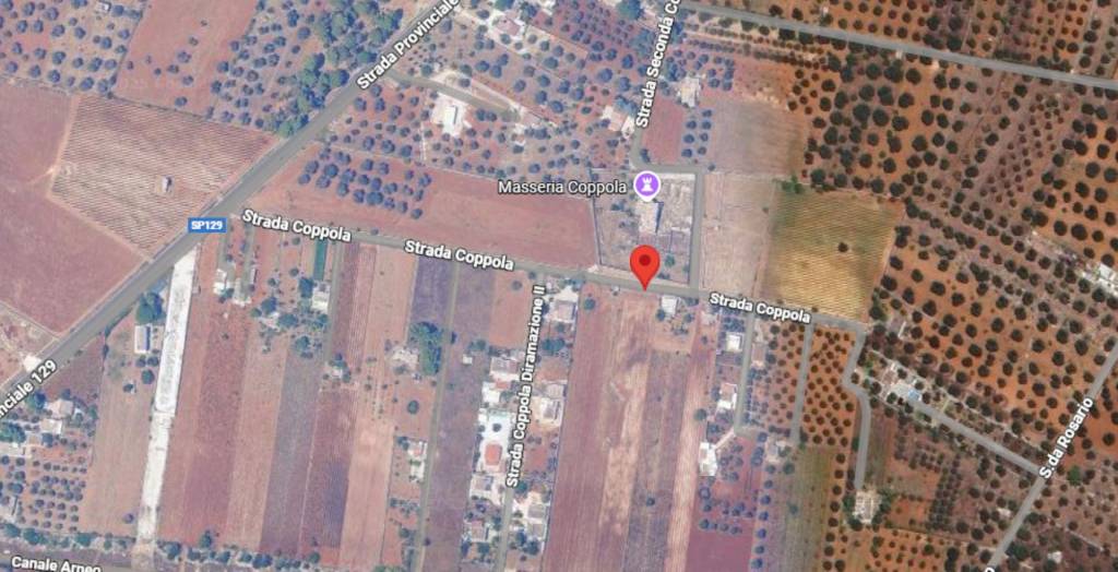 immagine annuncio 10 di 11