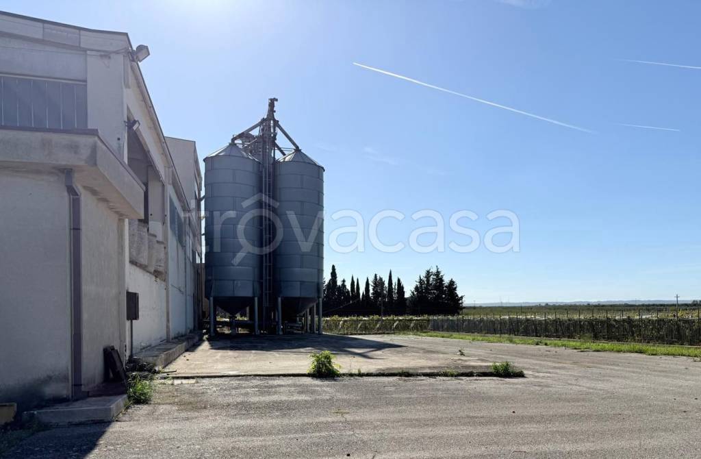 immagine annuncio 4 di 11