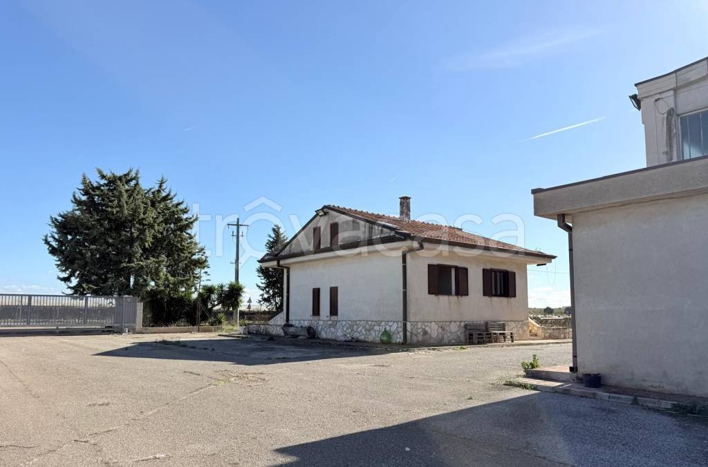 immagine annuncio 5 di 11