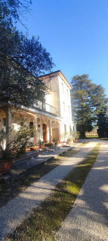 immagine annuncio 4 di 6