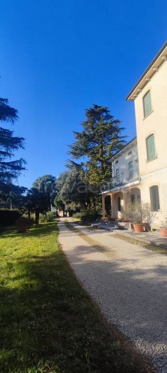 immagine annuncio 5 di 6