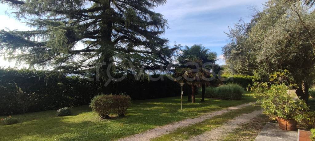 immagine annuncio 2 di 6