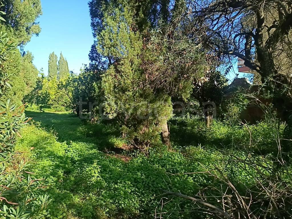 immagine annuncio 5 di 9