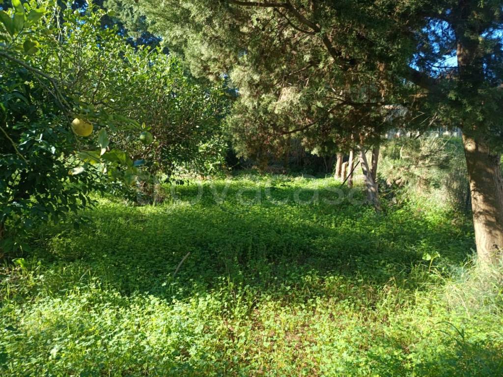 immagine annuncio 7 di 9