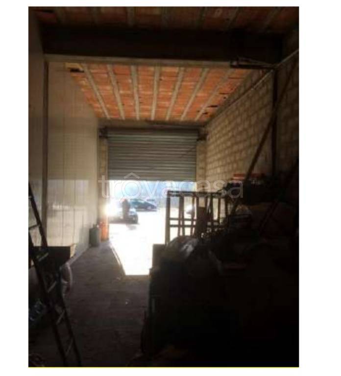 immagine annuncio 3 di 12