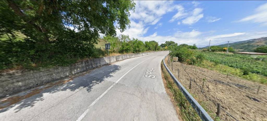 immagine annuncio 4 di 12