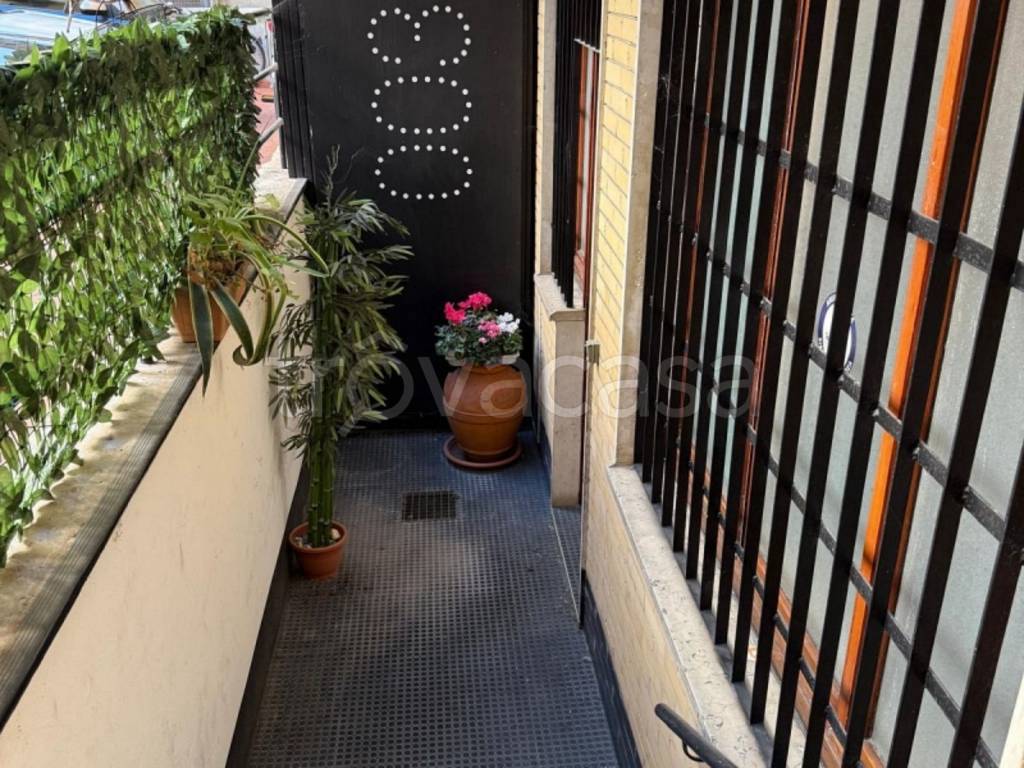 immagine annuncio 12 di 14