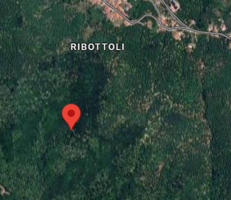 immagine annuncio 6 di 9