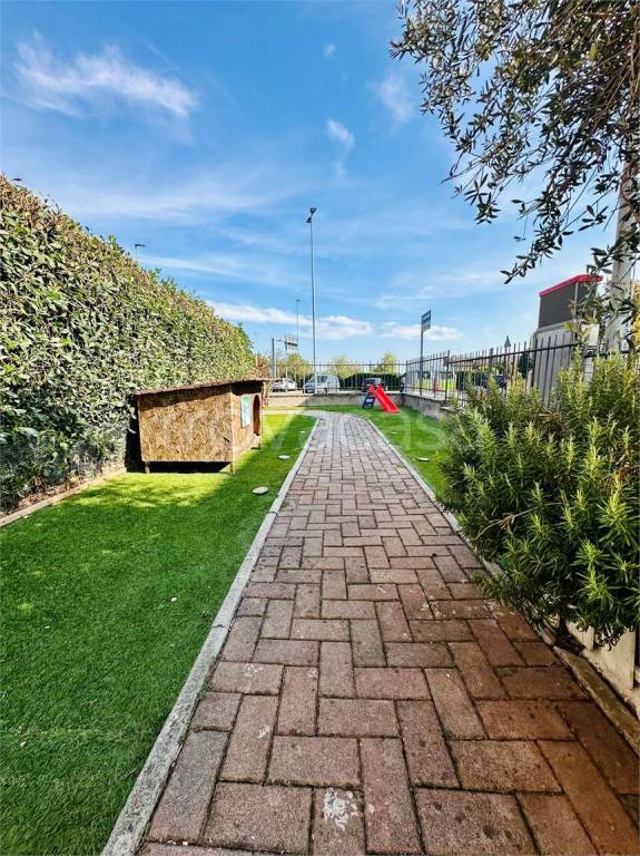 immagine annuncio 1 di 15