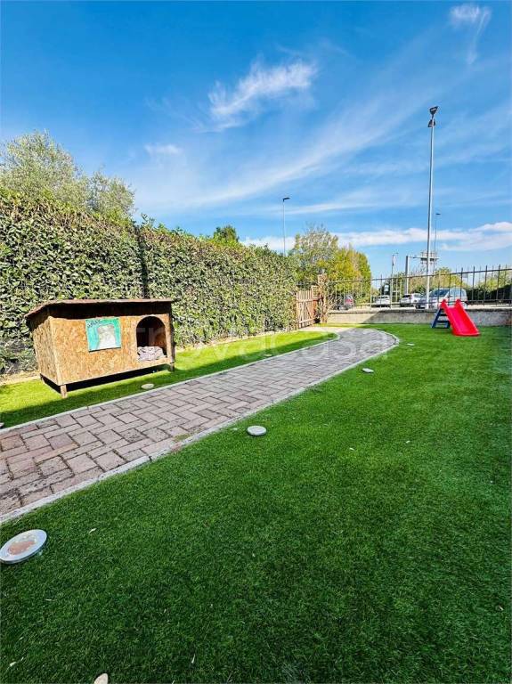 immagine annuncio 9 di 15