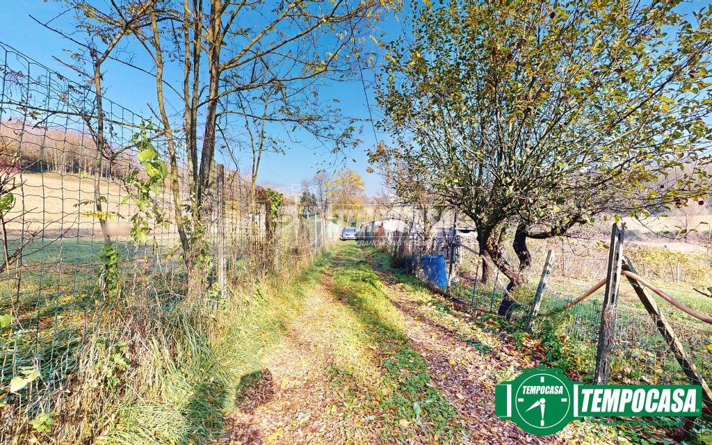 immagine annuncio 11 di 15