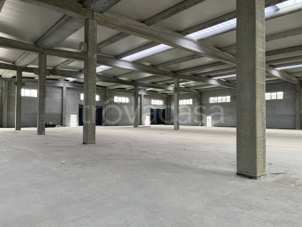 immagine annuncio 1 di 4