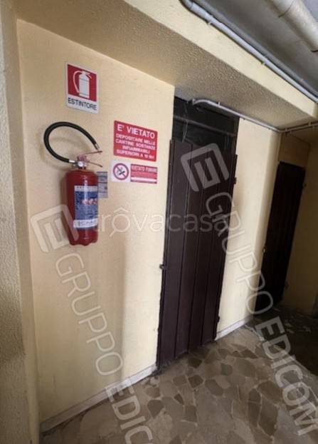 immagine annuncio 9 di 14