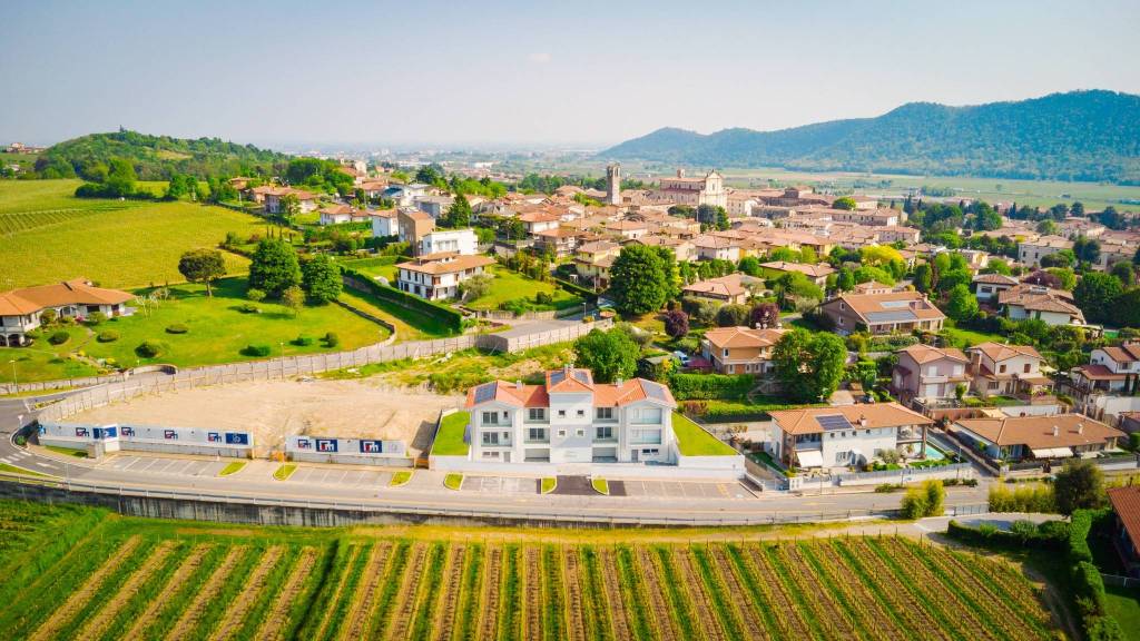 immagine annuncio 7 di 12