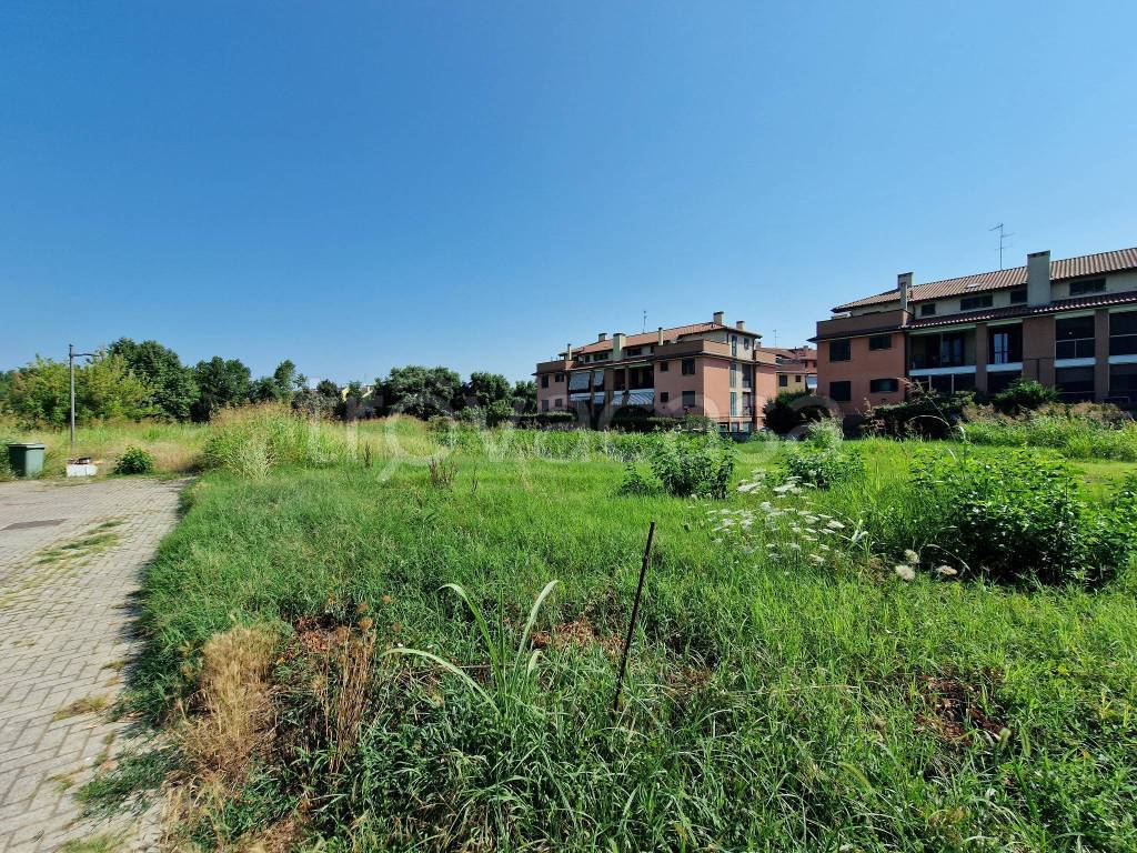 immagine annuncio 7 di 13