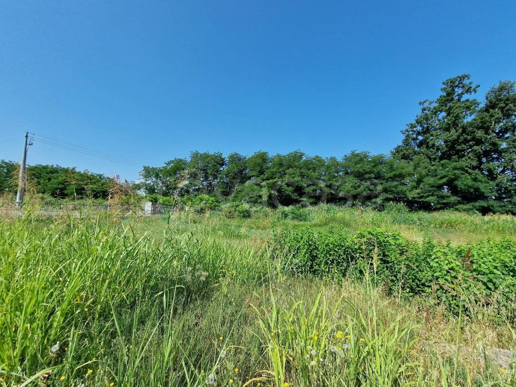 immagine annuncio 9 di 13