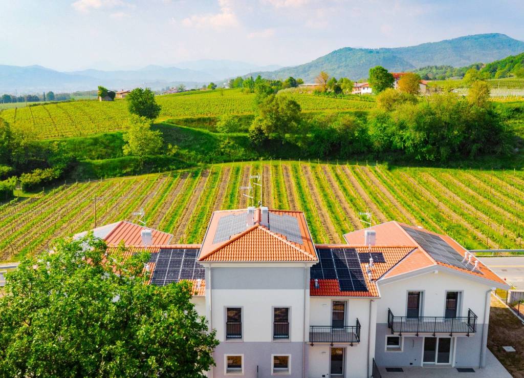 immagine annuncio 9 di 12