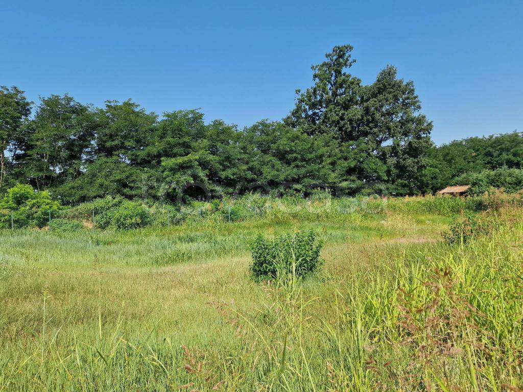 immagine annuncio 10 di 13