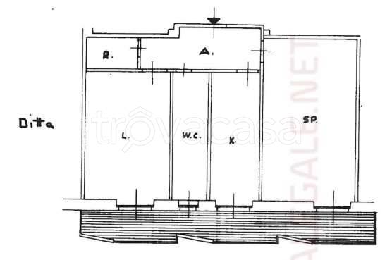 immagine annuncio 10 di 11