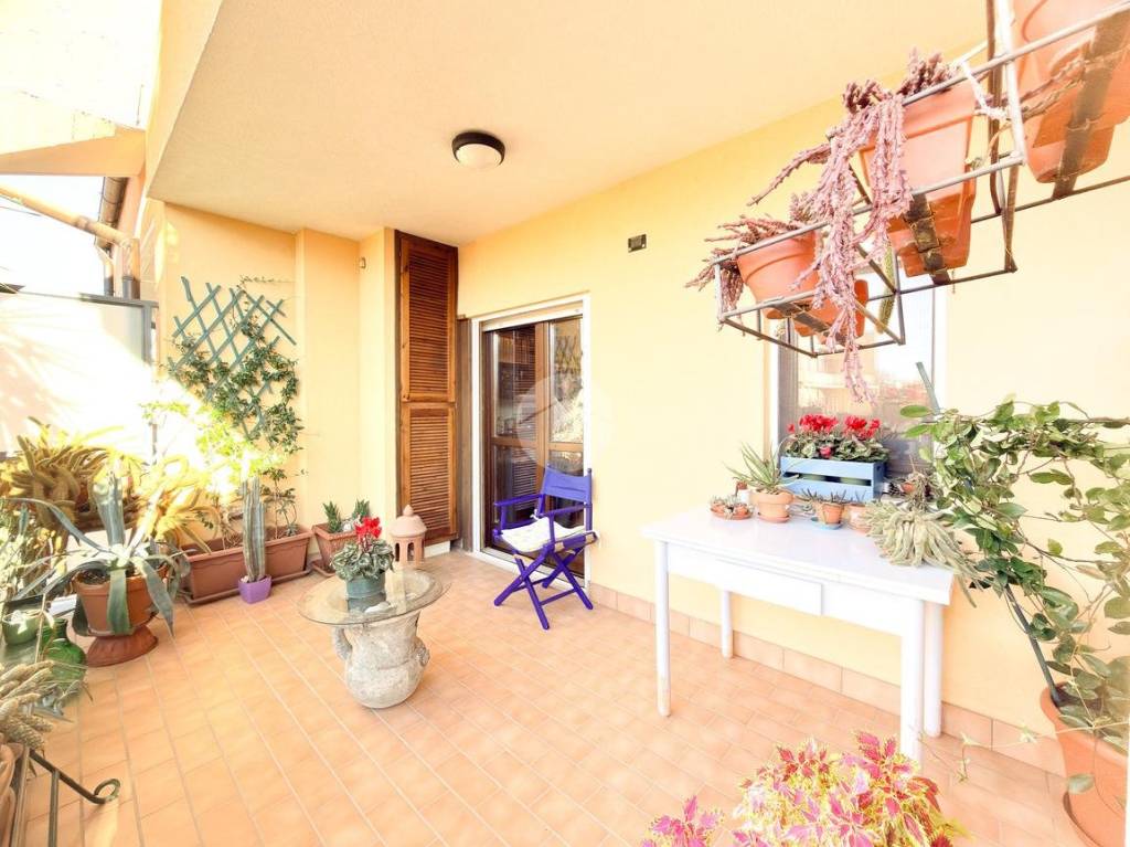 immagine annuncio 9 di 15