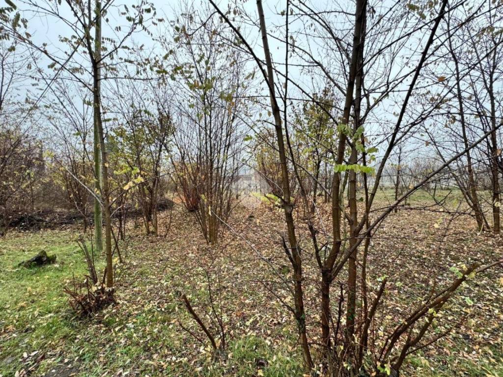 immagine annuncio 7 di 11