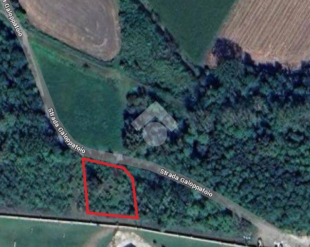 immagine annuncio 10 di 11