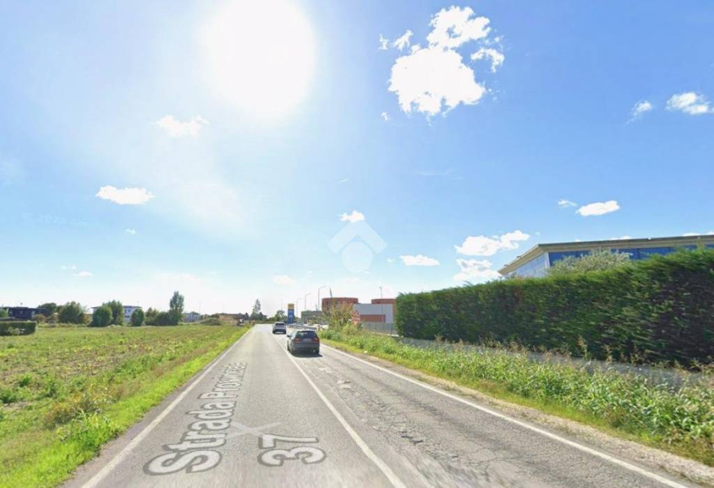 immagine annuncio 2 di 6