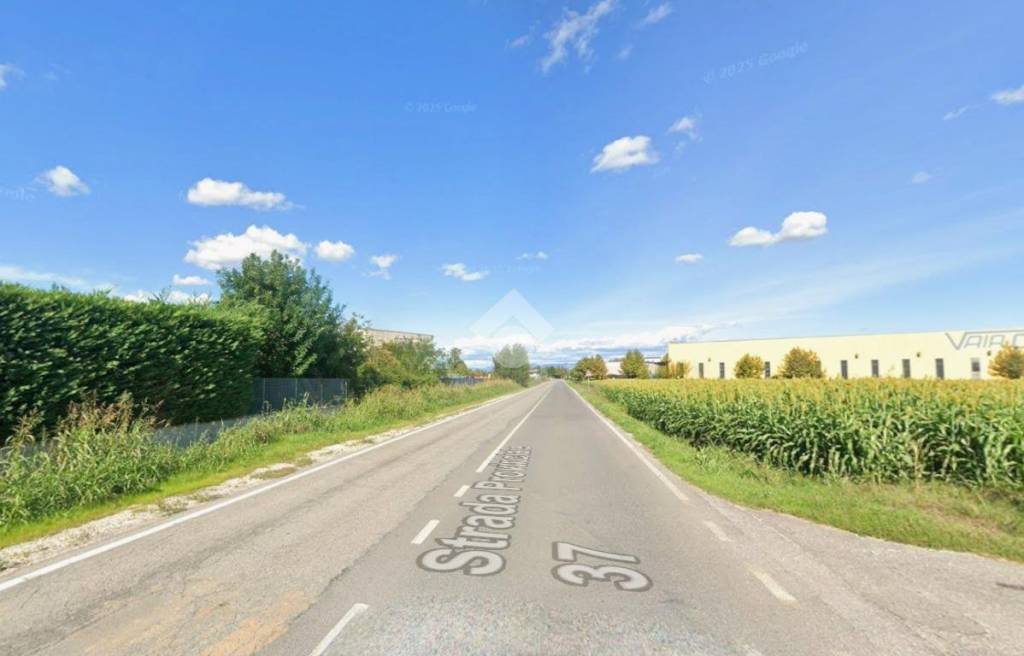 immagine annuncio 5 di 6