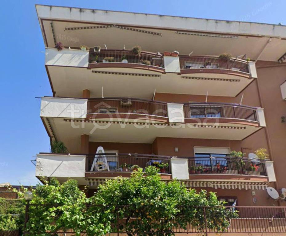 immagine annuncio 5 di 11