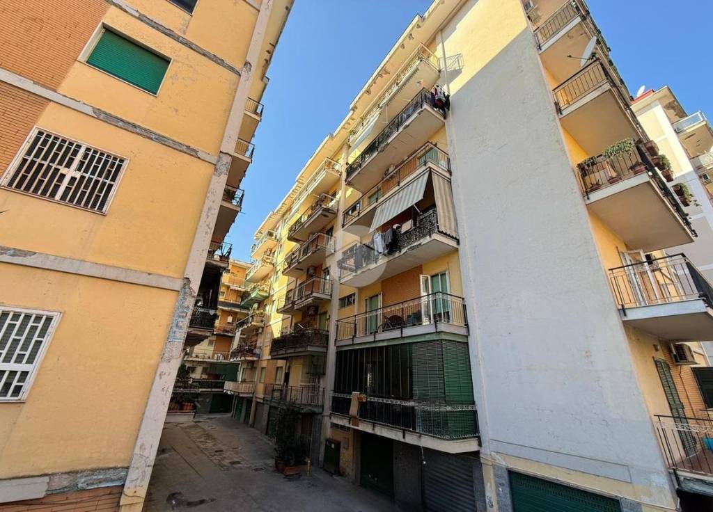 immagine annuncio 6 di 11