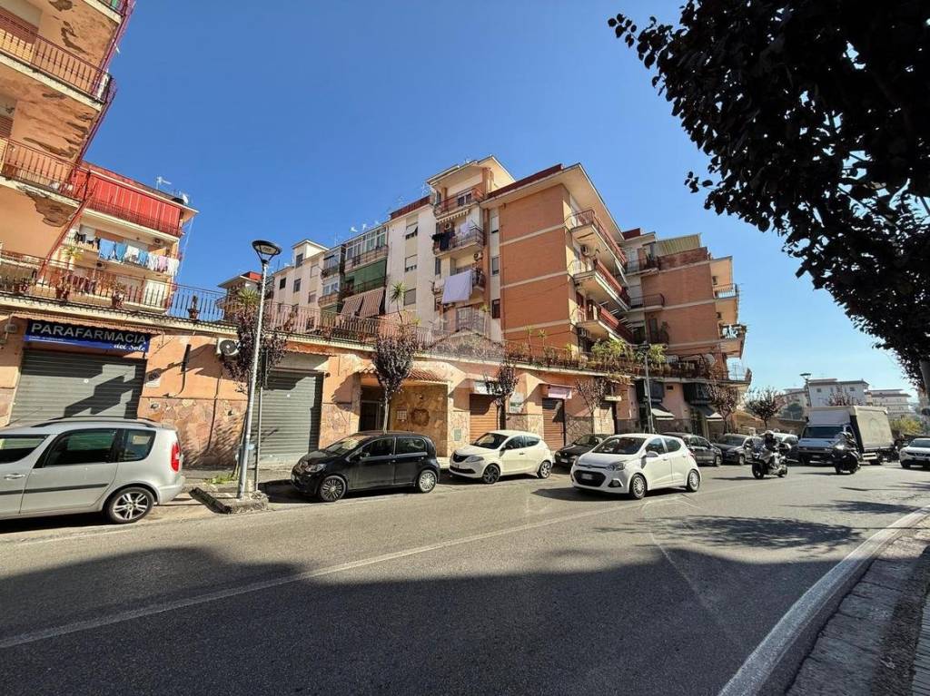 immagine annuncio 7 di 11