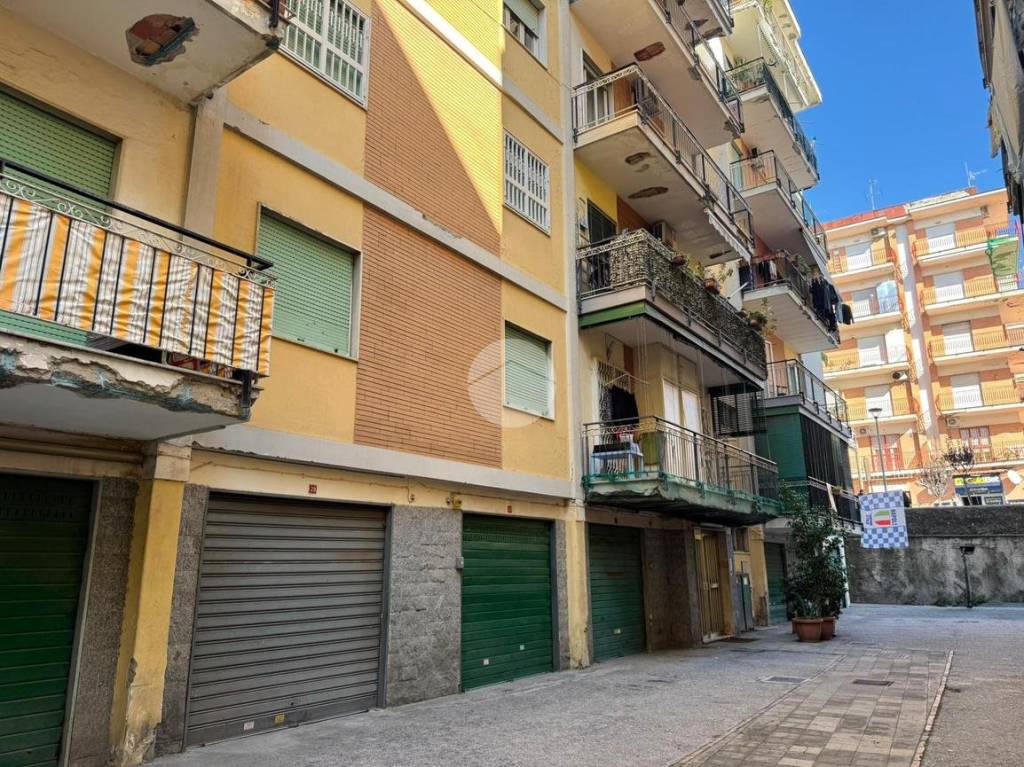 immagine annuncio 8 di 11