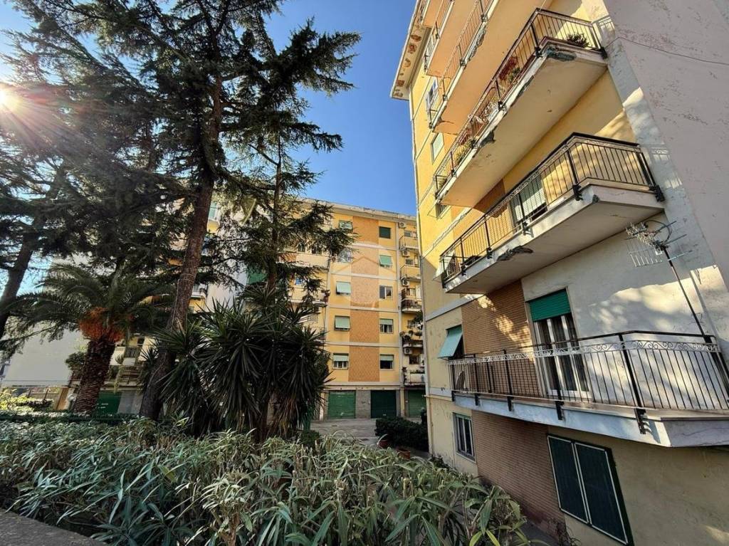 immagine annuncio 10 di 11