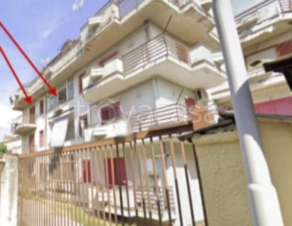 immagine annuncio 8 di 11