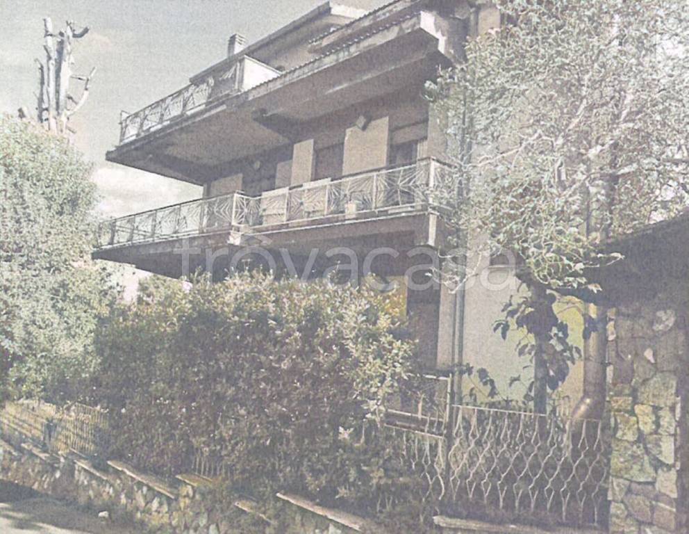 immagine annuncio 4 di 12