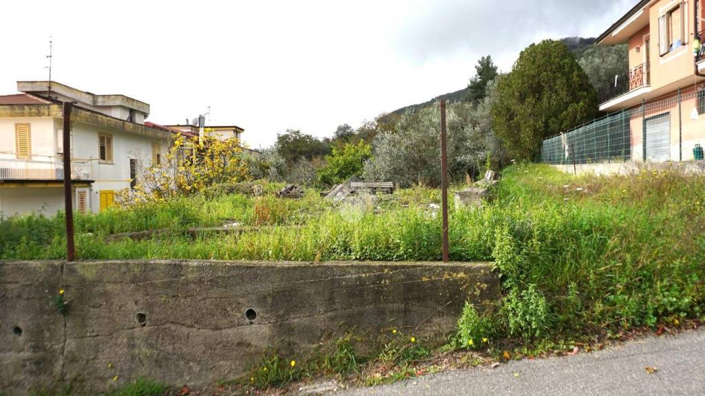 immagine annuncio 4 di 13