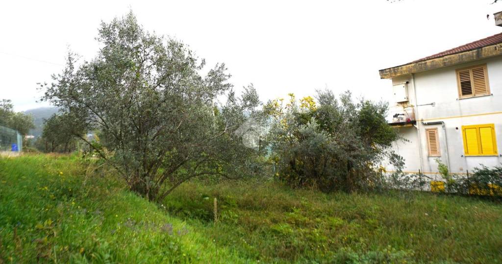 immagine annuncio 7 di 13