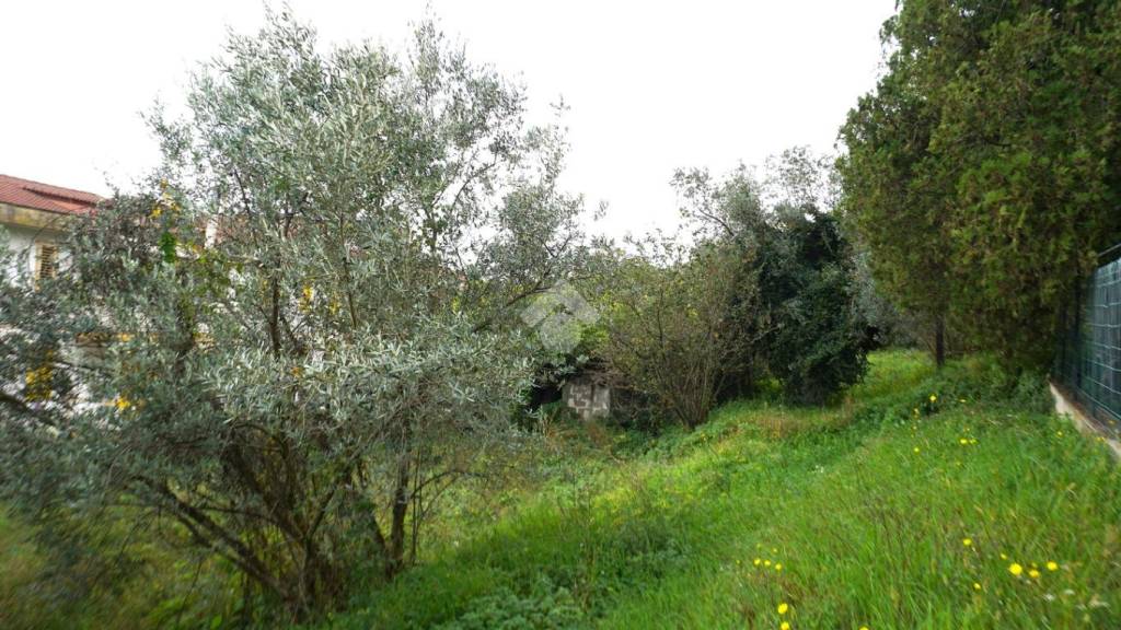 immagine annuncio 9 di 13