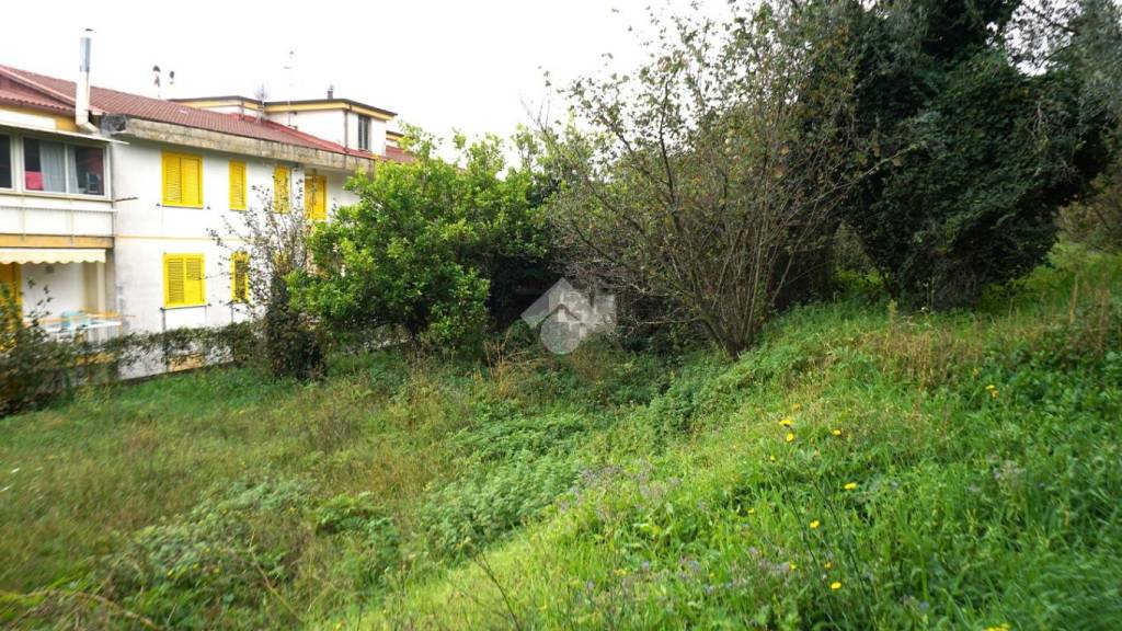 immagine annuncio 10 di 13