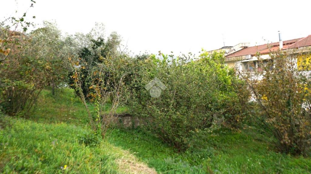 immagine annuncio 11 di 13