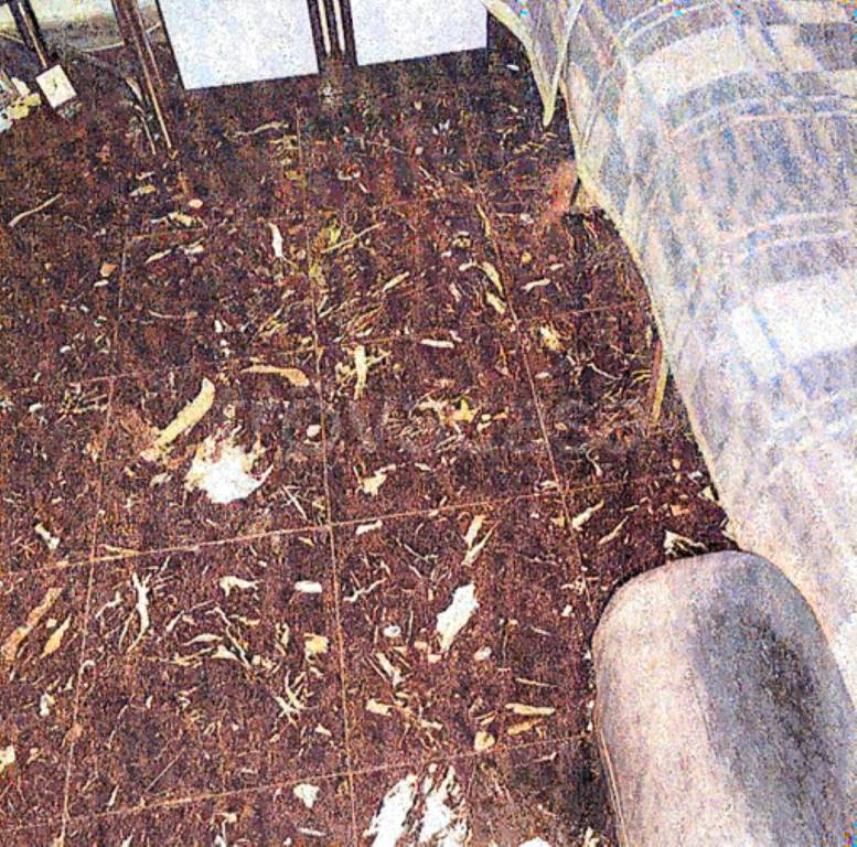 immagine annuncio 9 di 14