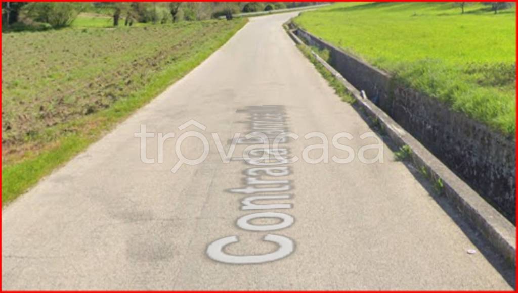 immagine annuncio 5 di 12