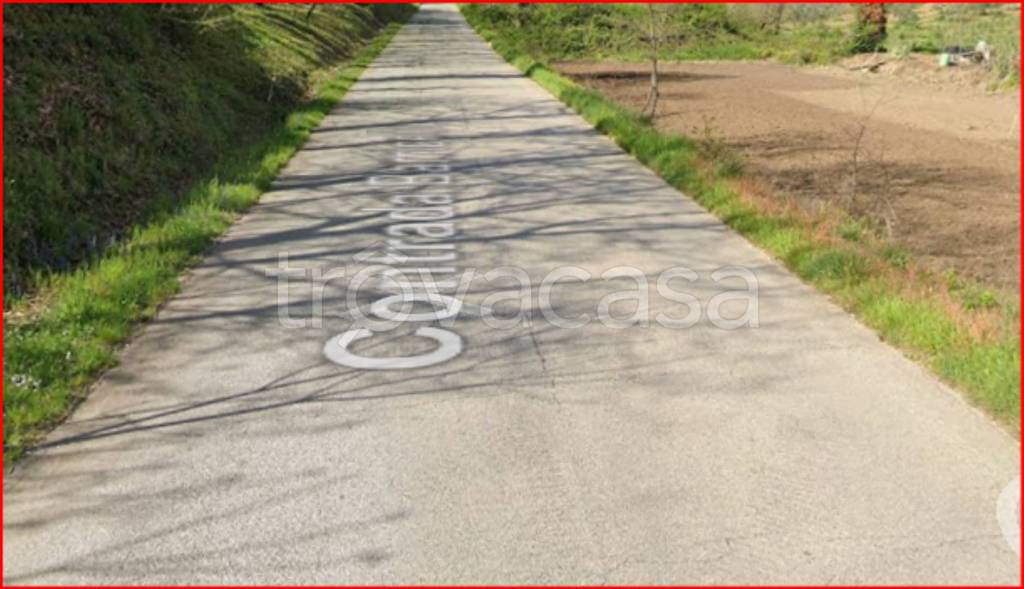 immagine annuncio 8 di 12