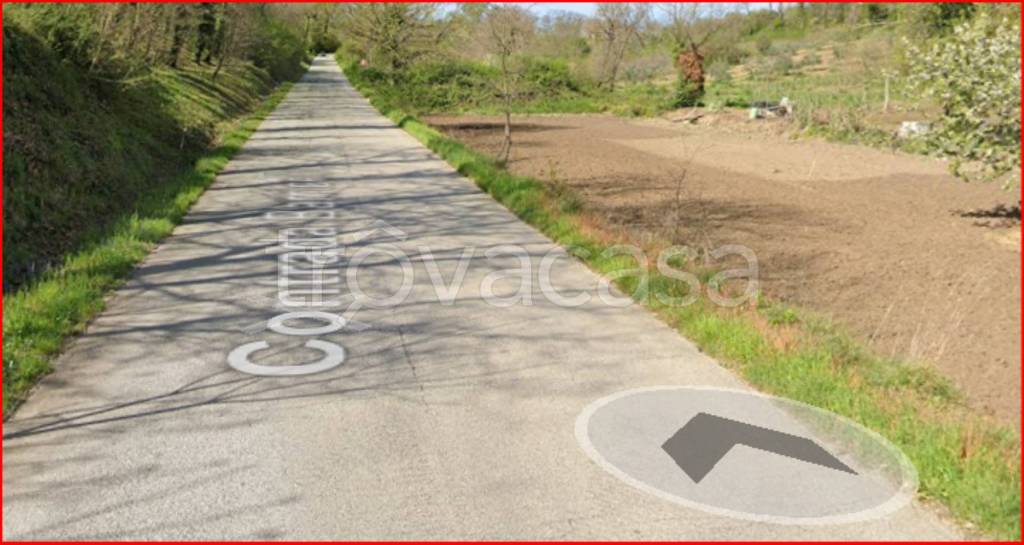 immagine annuncio 9 di 12